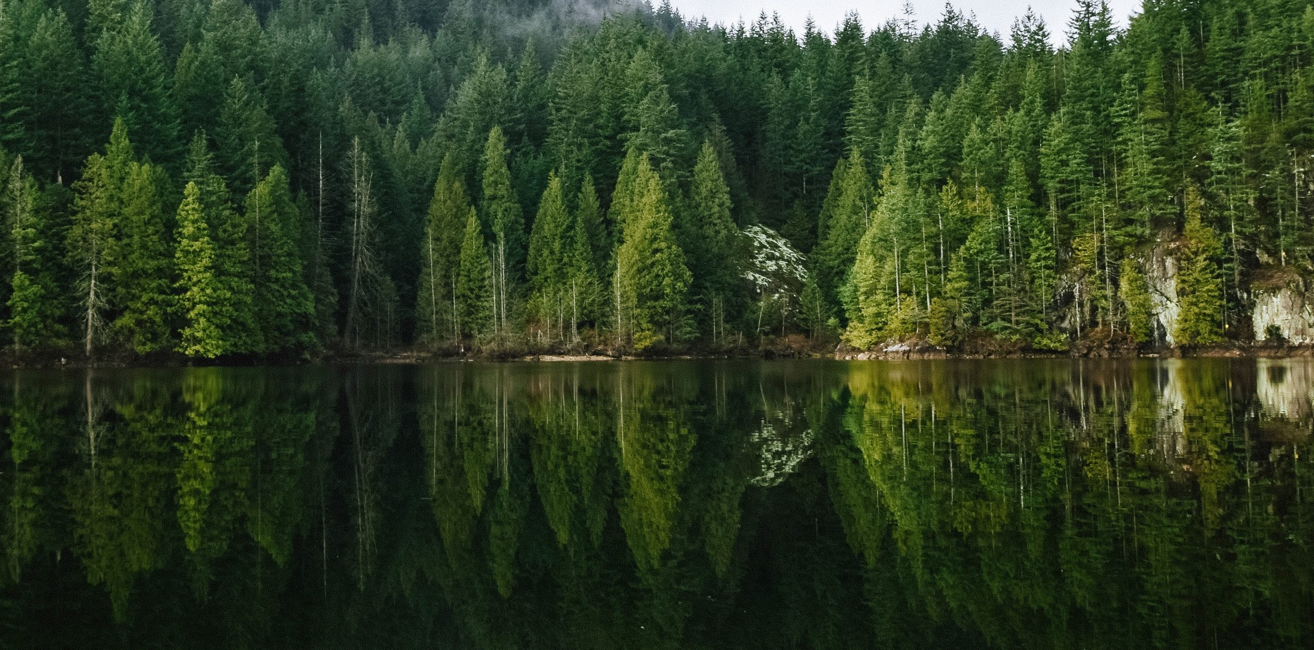 Slider 1 – Hardhat